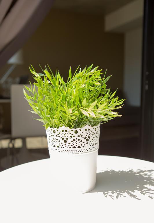 דירות Aveiro Urban Flat חדר תמונה